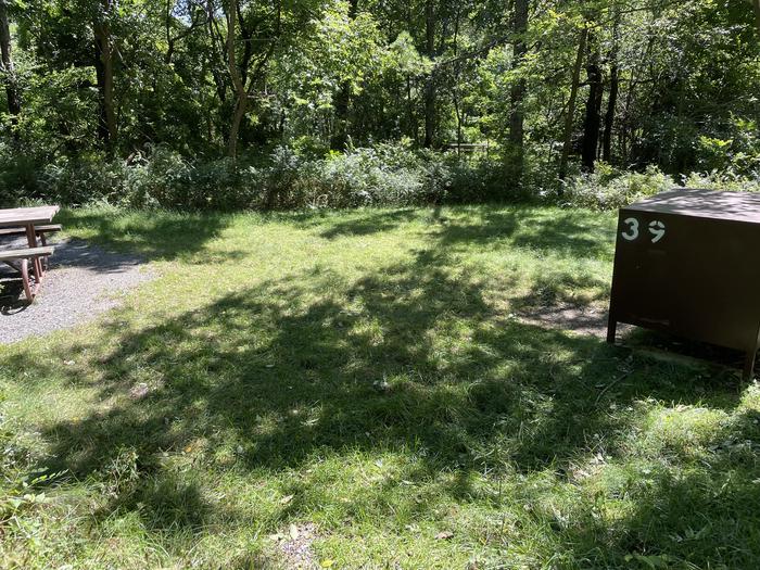 A photo of Site A039 of Loop Upper Loop at Loft Mountain Campground with Picnic Table, Food Storage