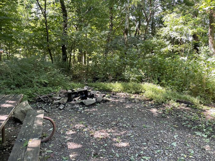 A photo of Site 010 of Loop Upper Loop at Loft Mountain Campground with Picnic Table, Fire Pit