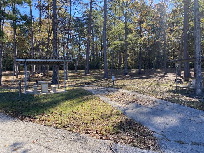 A photo of Site 15 of Loop LOOA at SAN AUGUSTINE with Picnic Table, Electricity Hookup, Fire Pit, Shade, Waterfront, Lantern Pole, Water Hookup, Lean To / Shelter