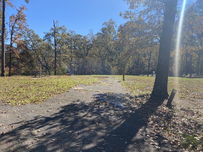 A photo of Site 52 of Loop LOOB at SAN AUGUSTINE with Picnic Table, Electricity Hookup, Fire Pit, Water Hookup