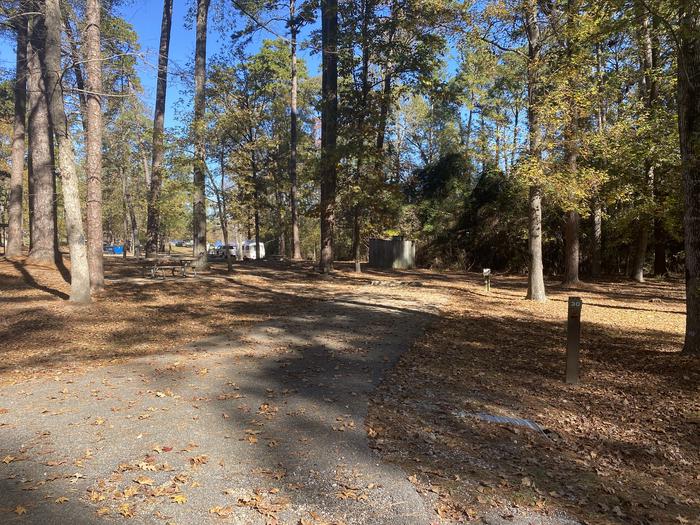 A photo of Site 30 of Loop LOOB at SAN AUGUSTINE with Picnic Table, Electricity Hookup, Fire Pit, Shade, Lantern Pole, Water Hookup