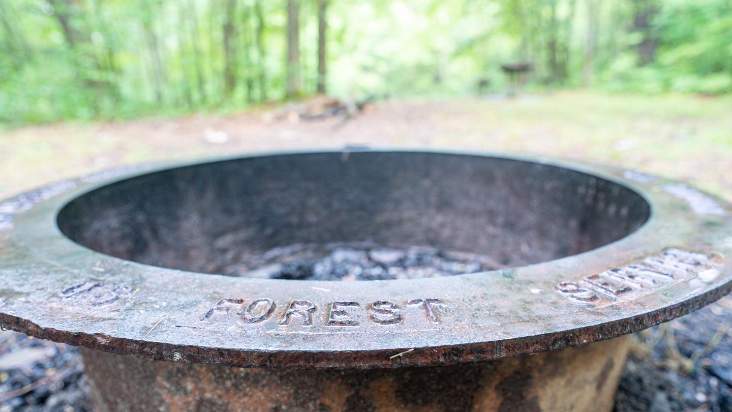 Potomac Group Camp 6Fire Ring