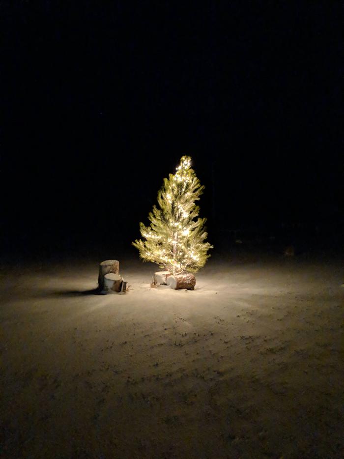 Christmas at nightChristmas tree in a snowy field.