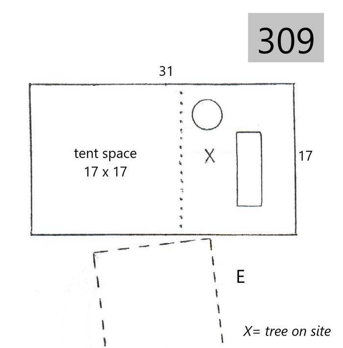 site 309line drawing of site layout