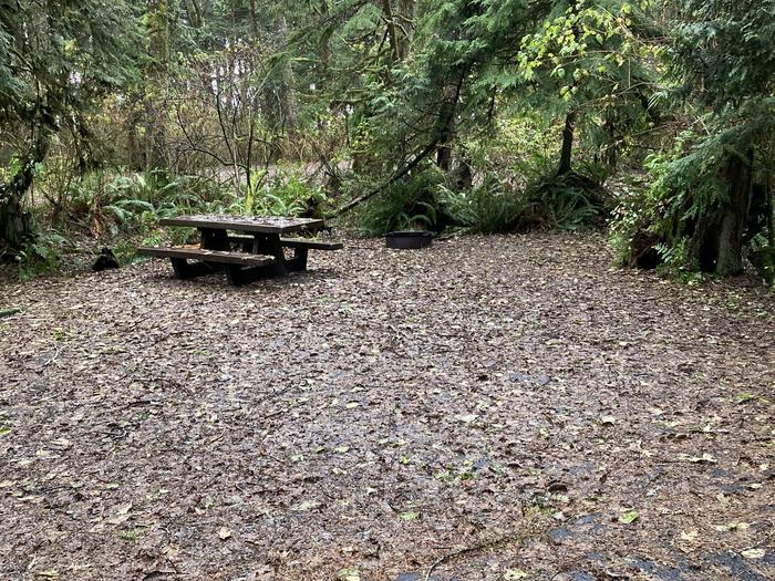View of parking area, tent pad, and picnic table covered in leavesKalaloch Campground - A047
