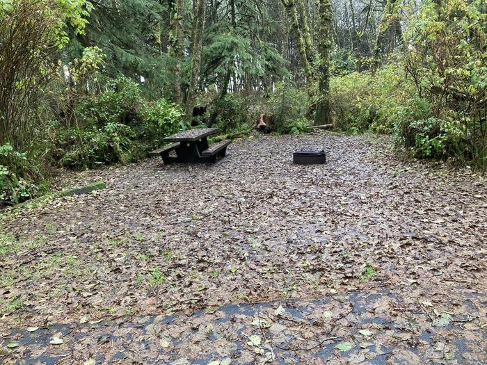 View of parking area, tent pad, picnic table, and fire ring covered in leavesKalaloch Campground - A053