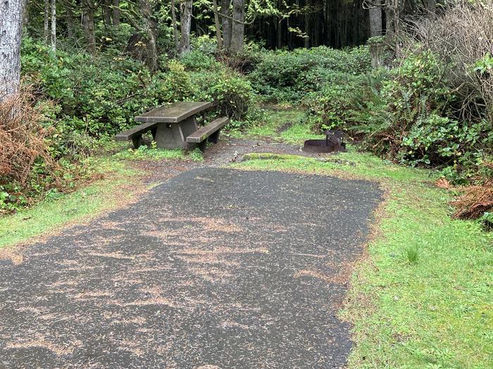 View of parking area, picnic table, and fire ringKalaloch Campground - D013