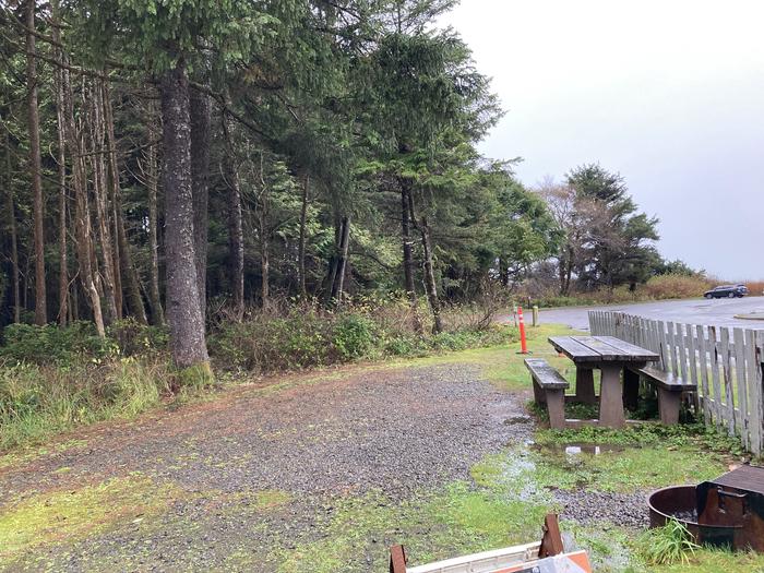 View of camp host campsite with picnic table and fire ring Kalaloch Campground - A001