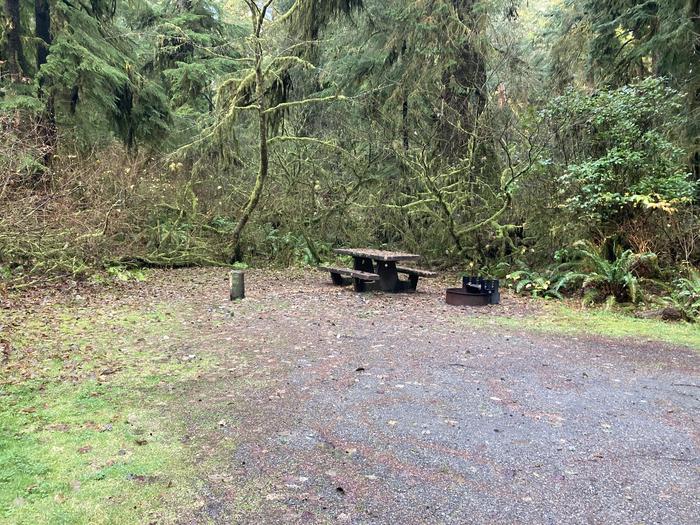 View of parking area, tent pad, picnic table, and fire ringMora Campground - B027