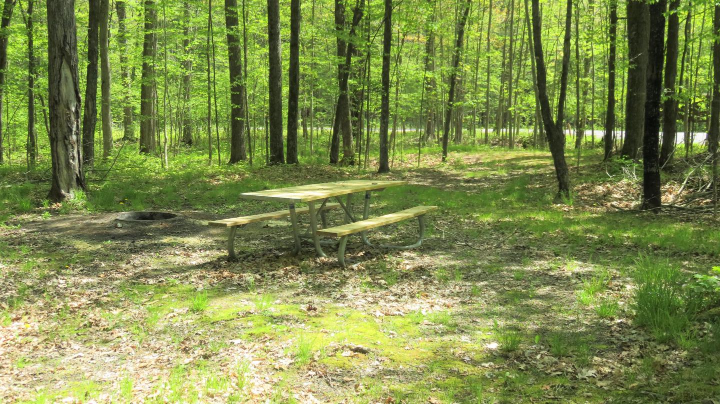 Site S61 picnic table and fire ringThe picnic table and fire ring are located on the main driveway.