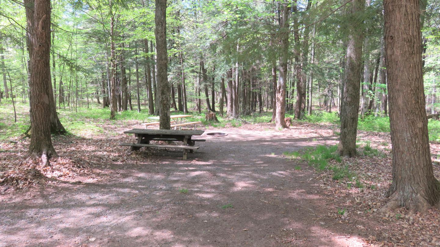Picnic table and fire ring for Site S64