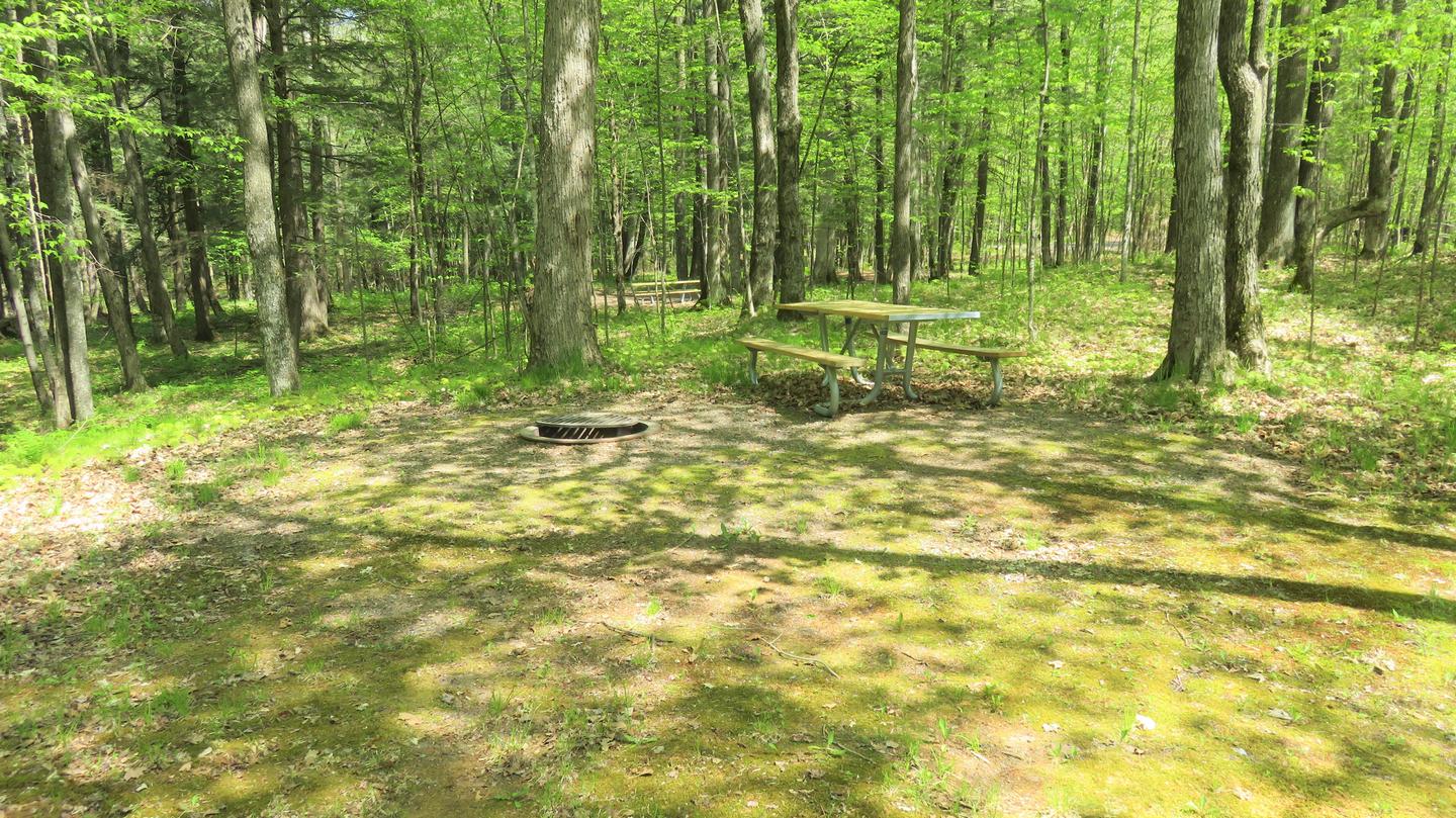 Site S65 picnic table and fire ringPicnic table and fire ring for Site S65