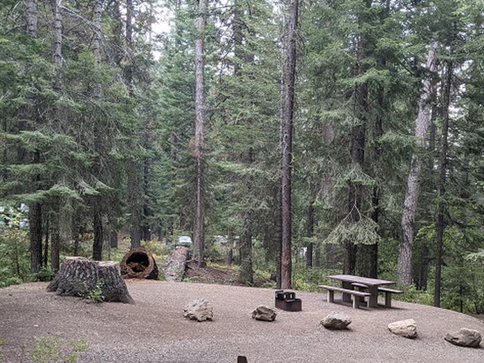 View of Site 11 at Spring Creek Campground showing parking space and picnic table in background.Site 11 at Spring Creek Campground.