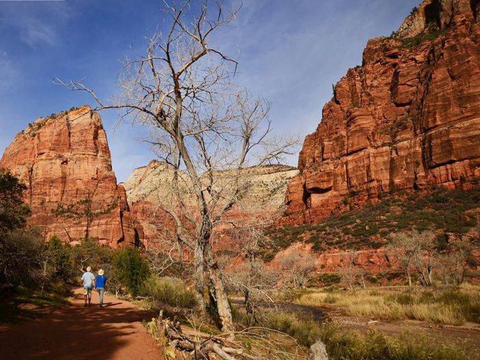 Preview photo of Angels Landing: Spring (Hikes on April 1 – May 31)