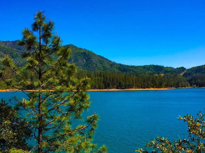 Preview photo of Shasta-Trinity National Forest - Bowerman Boat Ramp