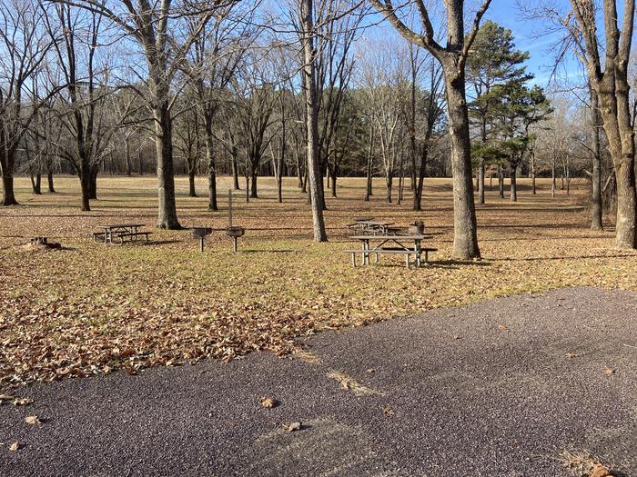 A photo of Site G01 of Loop Big Spring Group Sites at BIG SPRING with Picnic Table, Fire Pit, Shade, Lantern Pole