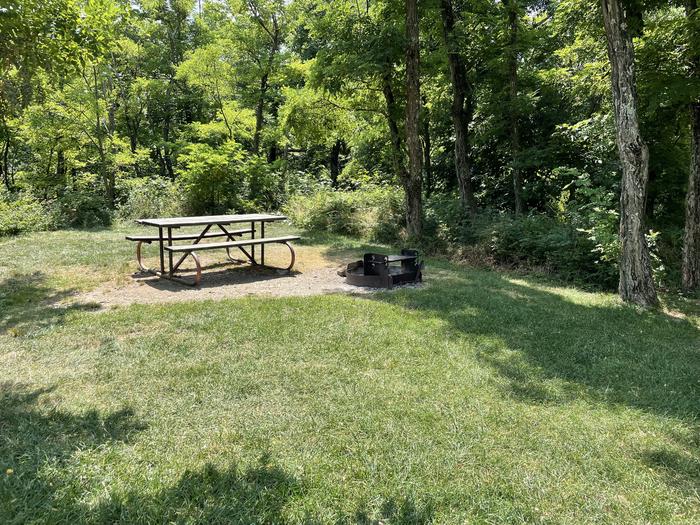 A photo of Site 024 of Loop Lower Loop at Loft Mountain Campground with Picnic Table, Fire Pit