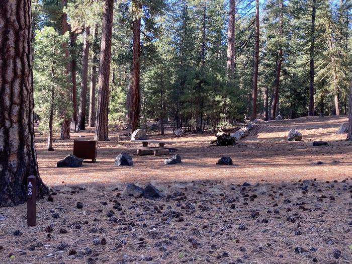 A photo of Site A02 of Loop Loop A at BUTTE LAKE with Picnic Table, Fire Pit, Shade, Food Storage