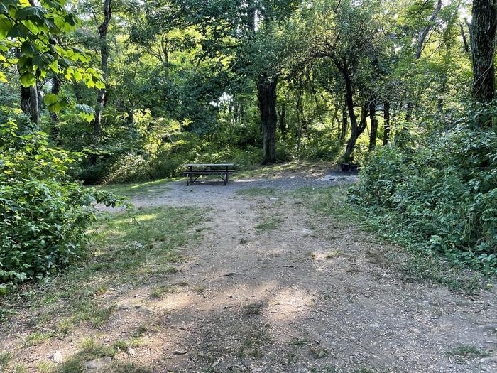 A photo of Site E134 of Loop E Loop at Loft Mountain Campground with Picnic Table, Fire Pit