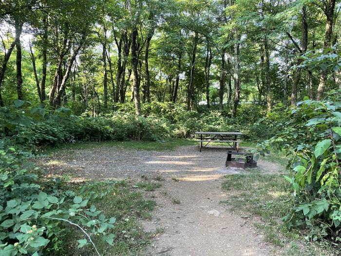 A photo of Site E137 of Loop E Loop at Loft Mountain Campground with Picnic Table, Fire Pit