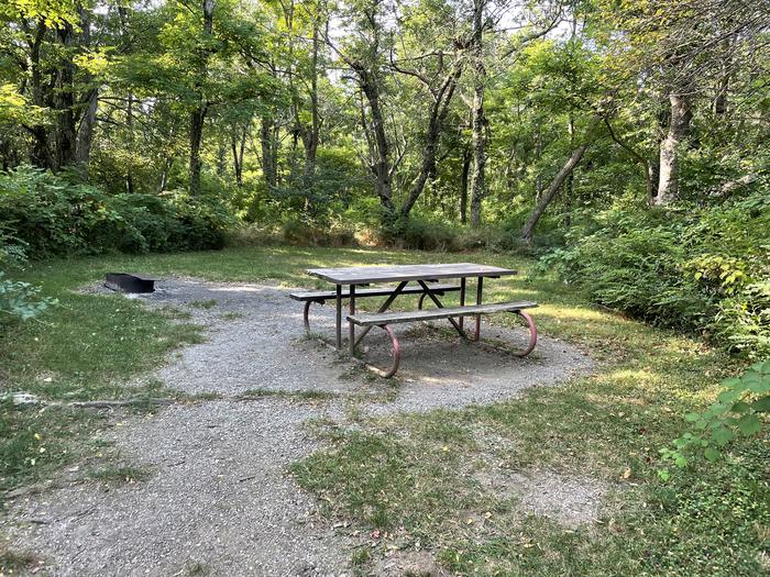 A photo of Site D113 of Loop D Loop at Loft Mountain Campground with Picnic Table, Fire Pit