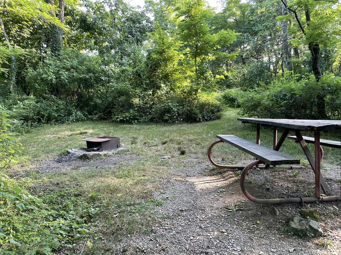 A photo of Site D109 of Loop D Loop at Loft Mountain Campground with Picnic Table, Fire Pit