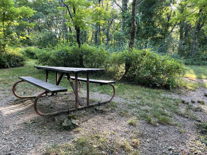 A photo of Site D109 of Loop D Loop at Loft Mountain Campground with Picnic Table