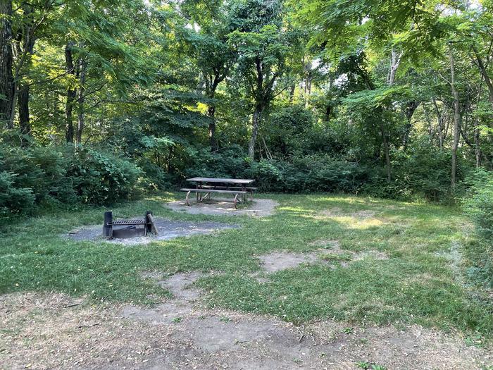 A photo of Site D115 of Loop D Loop at Loft Mountain Campground with Picnic Table, Fire Pit