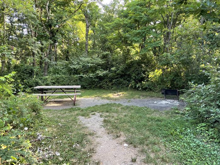 A photo of Site D114 of Loop D Loop at Loft Mountain Campground with Picnic Table, Fire Pit