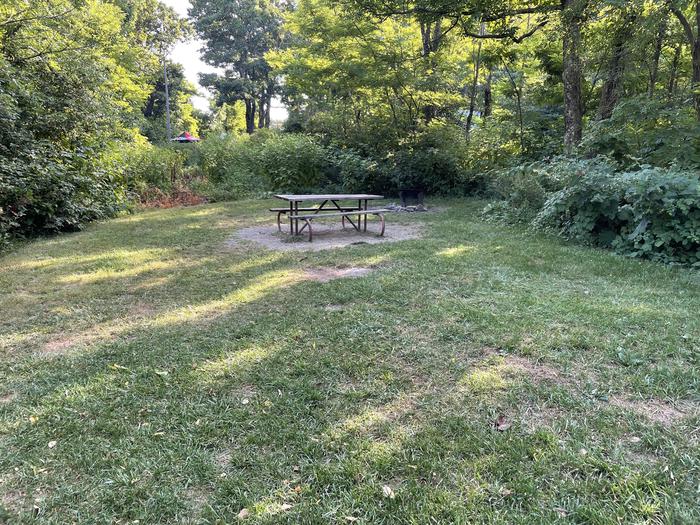 A photo of Site E136 of Loop E Loop at Loft Mountain Campground with Picnic Table, Fire Pit