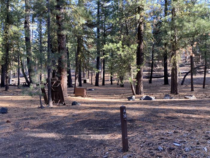 A photo of Site A14 of Loop Loop A at BUTTE LAKE with Picnic Table, Fire Pit, Shade, Food Storage