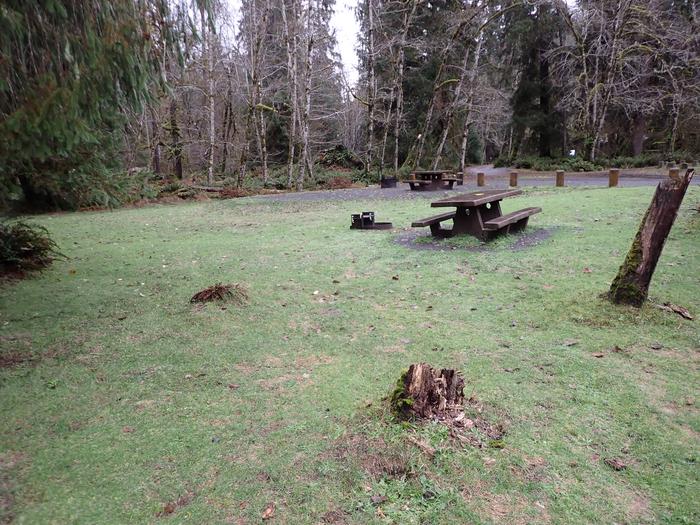 View of picnic table, tent pad, and fire ringA17