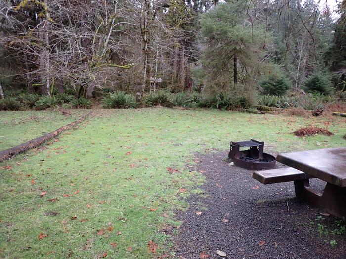 View of tent area, picnic table, and fire ringA20