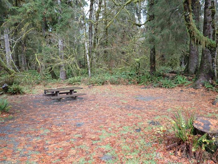 View of tent area, picnic table, and fire ringA30