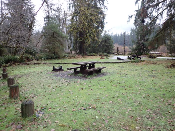 View of tent area, picnic table, and fire ringA37