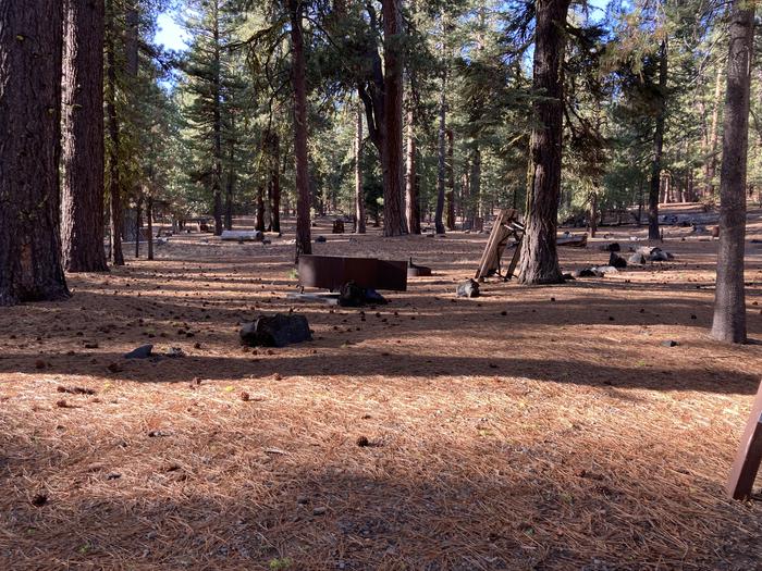 A photo of Site A16 of Loop Loop A at BUTTE LAKE with Picnic Table, Fire Pit, Shade, Food Storage