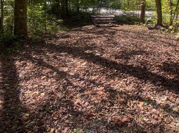 The ground is covered in brown leaves with a circle fire ring and picnic table.A-8 tent space.