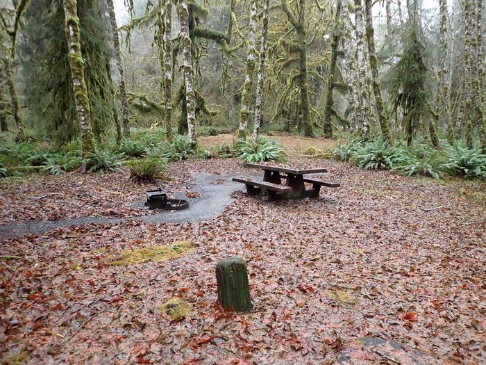View of picnic table, fire ring, and tent areaB55