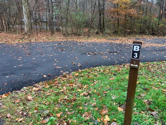 A blacktop surface with green grass on the sides with a small brown post.