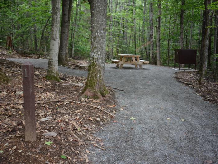 Accessible campsite with wooden picnic table and metal food storage locker.Lunksoos Campsite One provides an accessible camping experience with nearby parking and a level gravel surface leading to the site.
