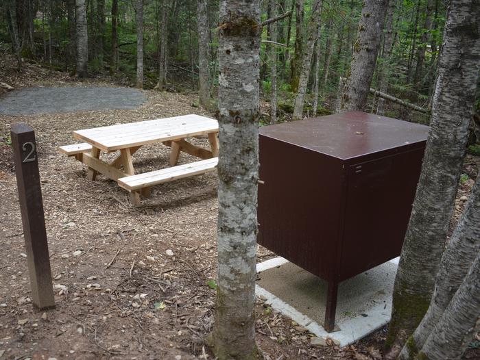 Gravel tent pad, wooden picnic table and metal food storage locker at Lunksoos Campsite Two.Lunksoos Campsite Two is nestled in the trees a short walk away from the parking area.