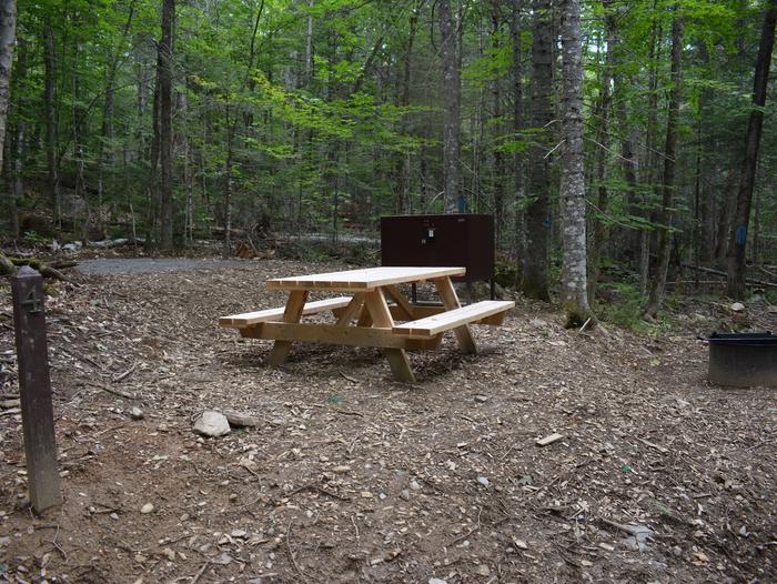 Wooden picnic table, metal food storage locker, gravel tent pad and metal fire ring at Lunksoos Campsite Four.Lunksoos Campsite Four provides a private location in the woods.