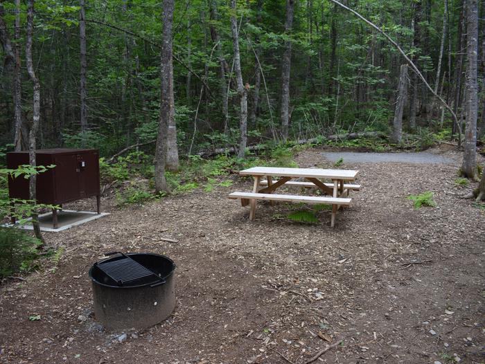 Metal fire ring and food storage locker, wooden picnic table and gravel tent pad at Lunksoos Campsite Five.Lunksoos Campsite Five is located on a relatively level surface surrounded by trees.