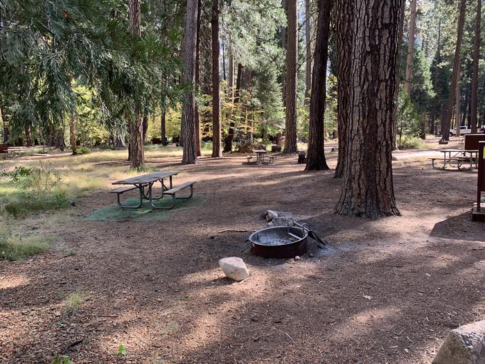 Tent area of North Pines 309