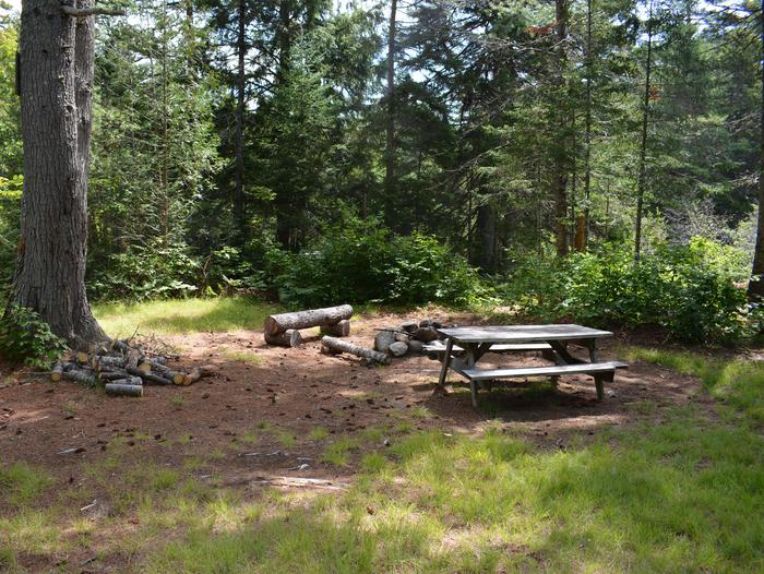Wooden picnic table and stone fire ring at Wassataquoik Campsite.Hike or bike approximately a mile from the Wassataquoik Gate to camp at the Wassataquoik Campsite.