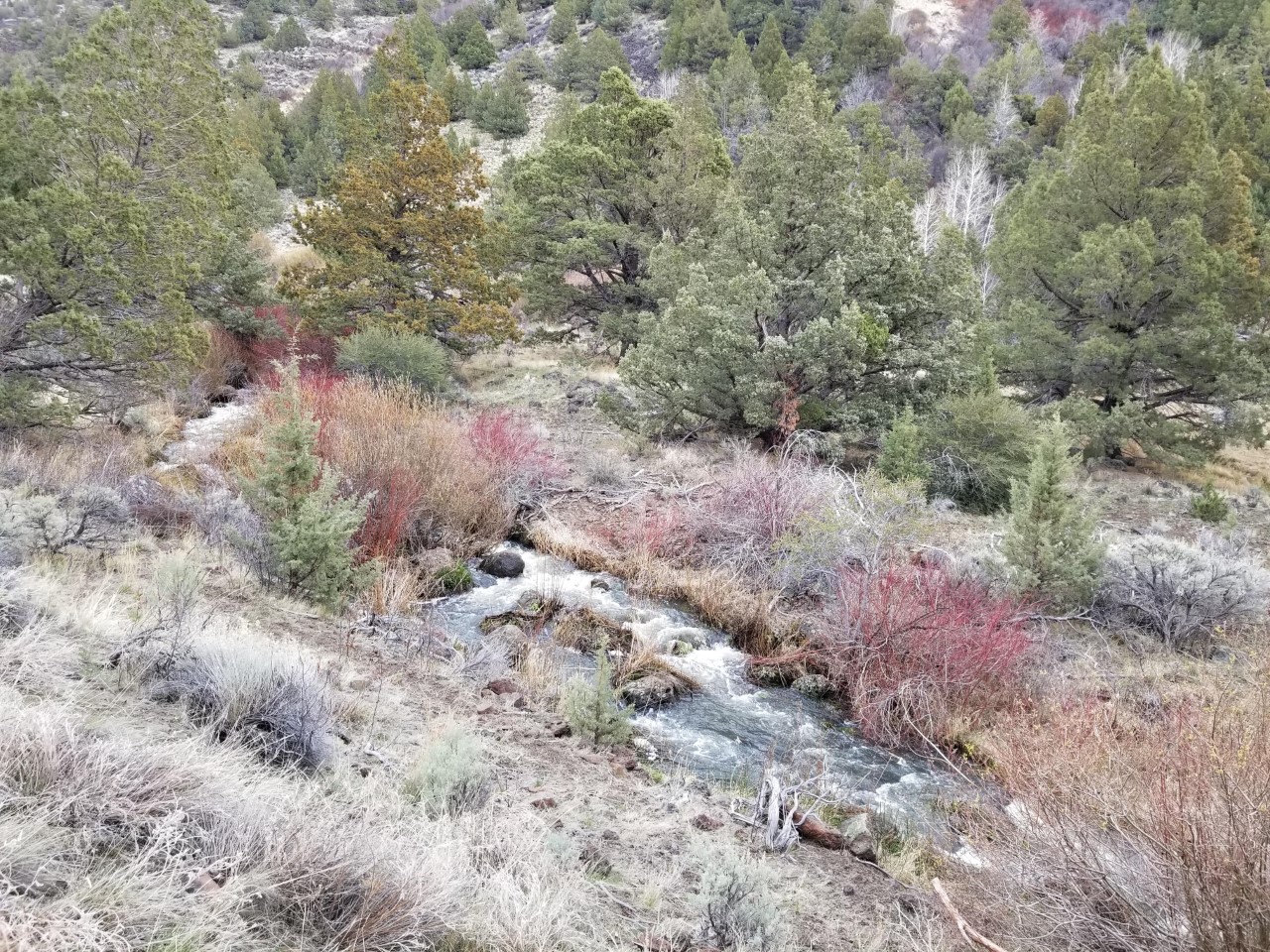 View of Threemile Creek