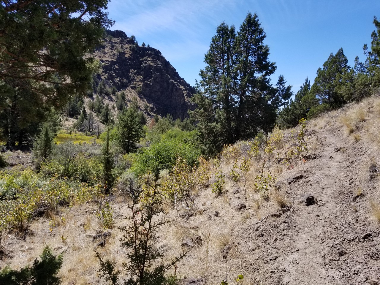 View along Threemile Creek Trail