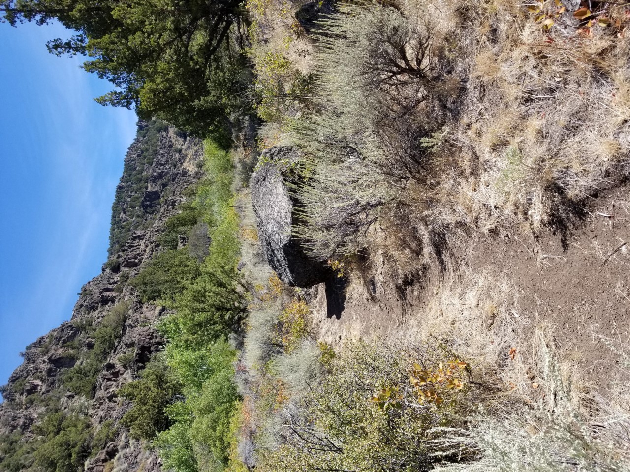 Boulder alongside the Threemile Creek Trail