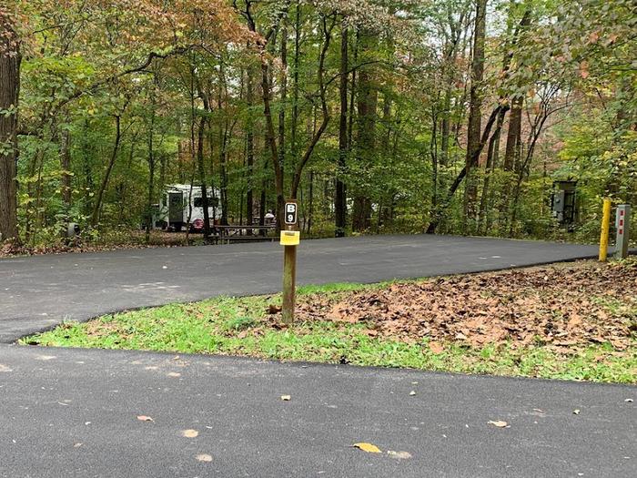 A blacktop surface with green grass on the sides with a small brown post.