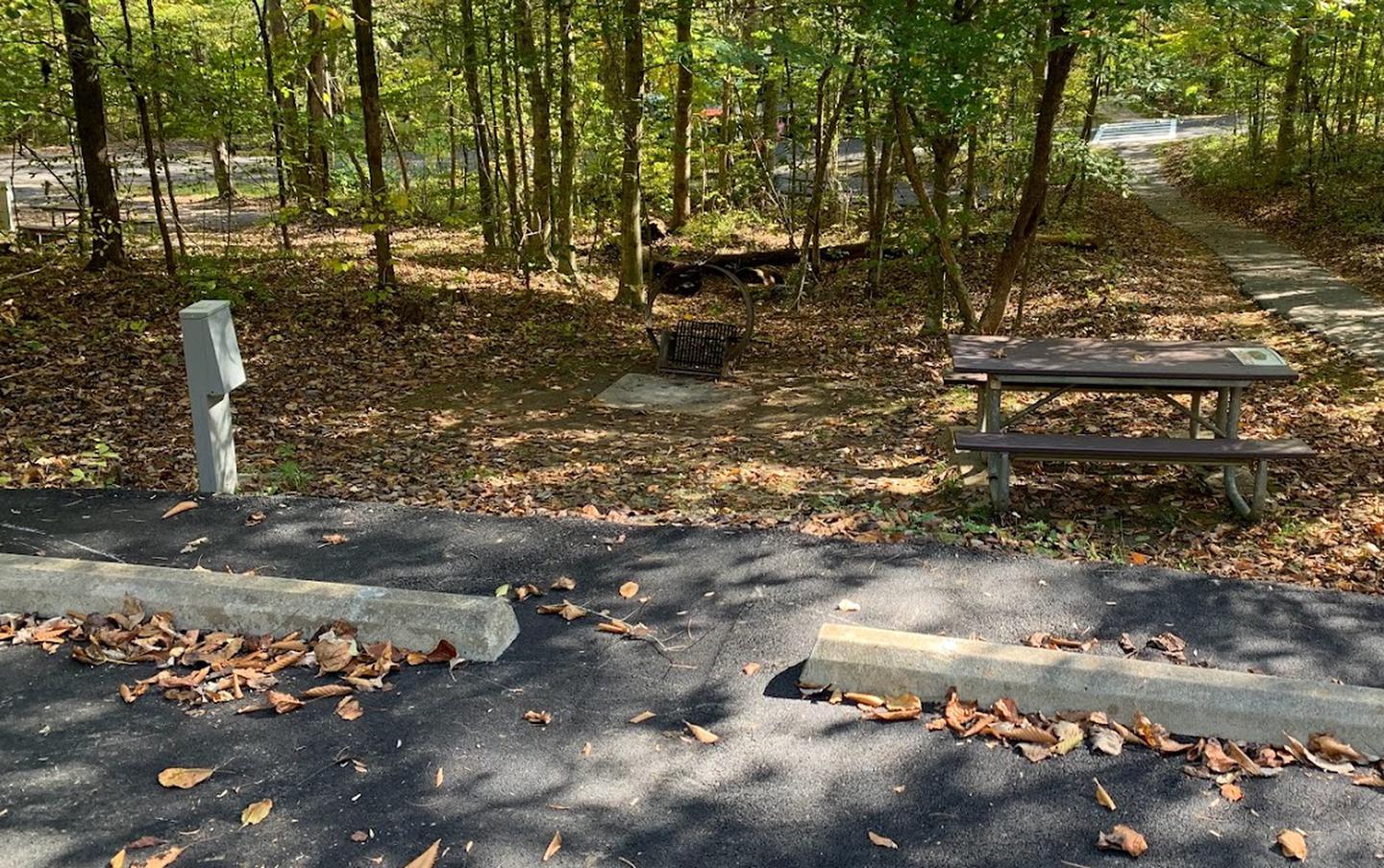 A blacktop surface with a gray box near a circle fire ring and picnic table.Plenty of green space. Has a fire ring and picnic table.